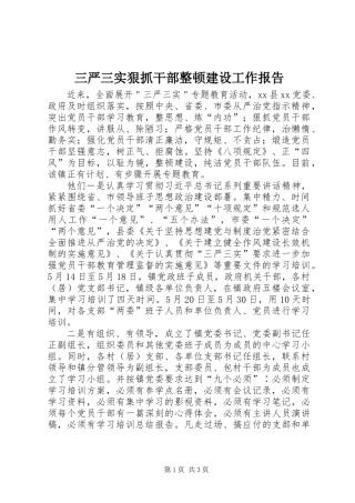 三严三实狠抓干部整顿建设工作报告