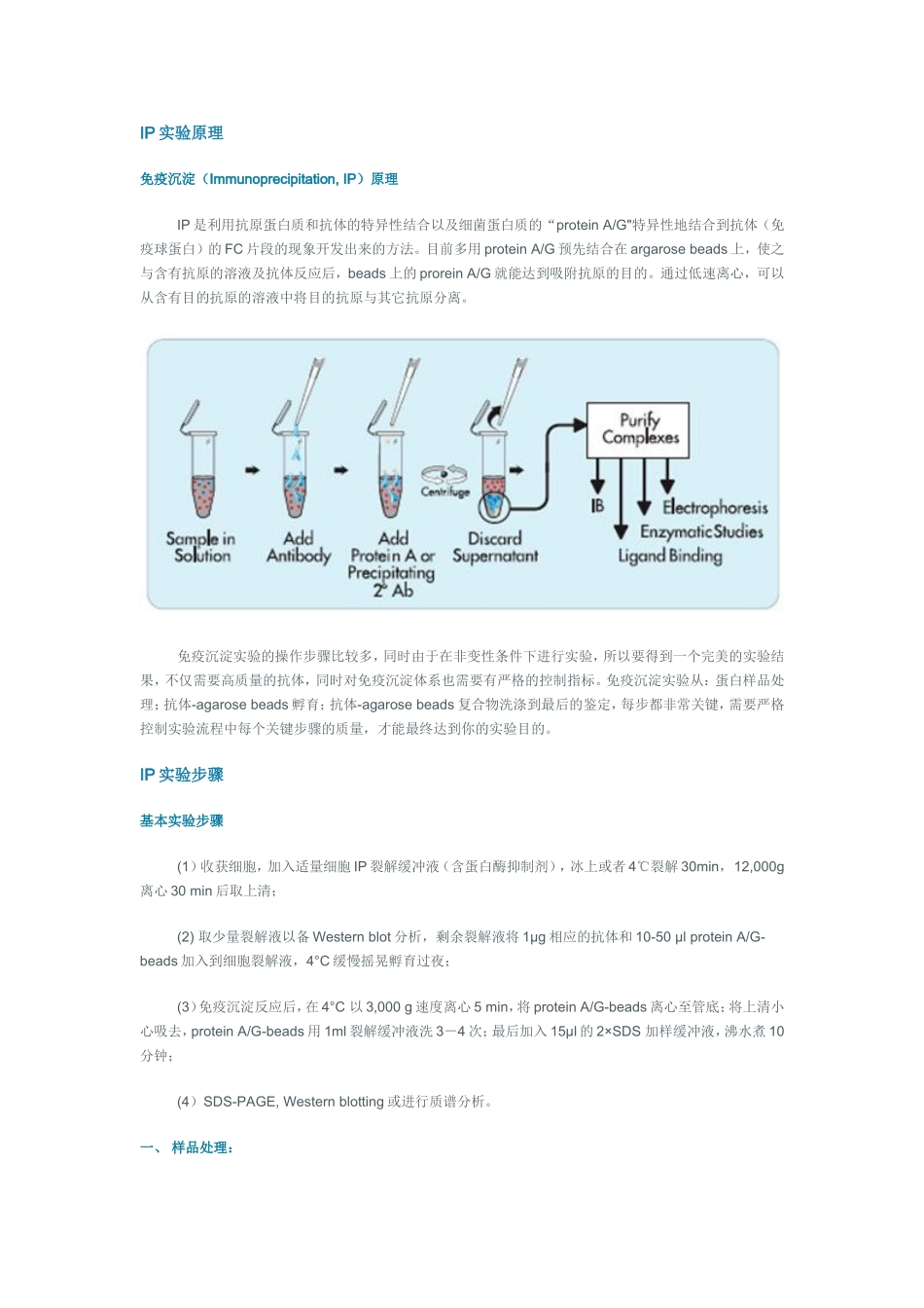 IP实验原理_第1页
