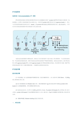 IP实验原理
