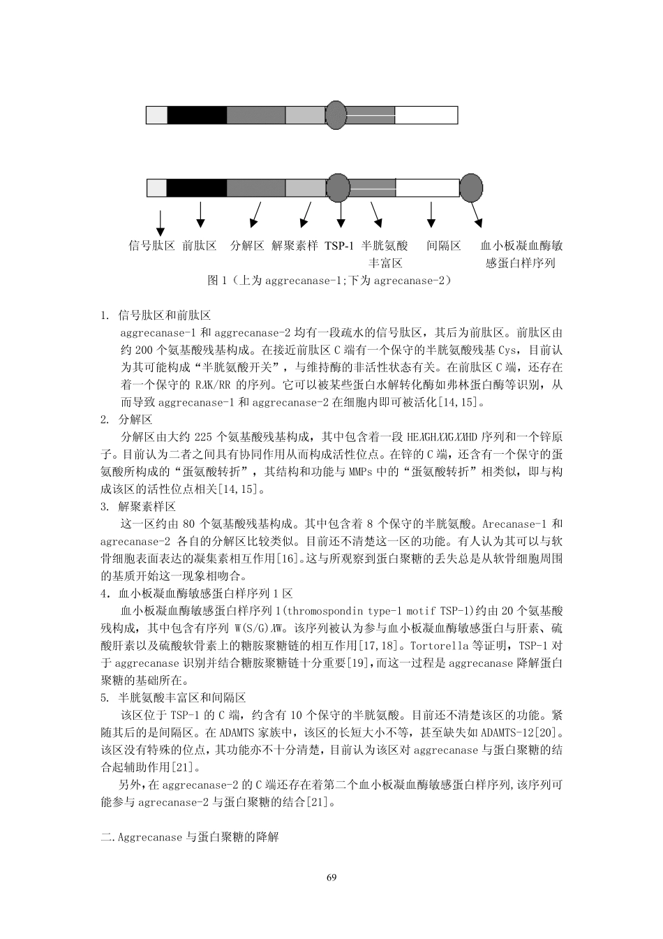 蛋白聚糖酶与骨关节疾病_第2页
