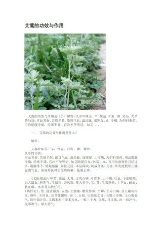 艾蒿的功效与作用