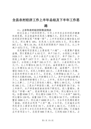 全县农村经济工作上半年总结及下半年工作思路