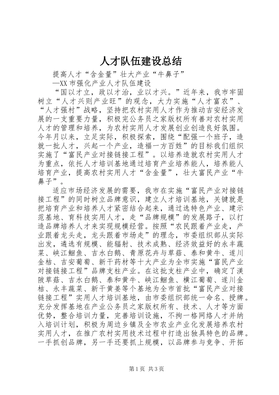 人才队伍建设总结_第1页