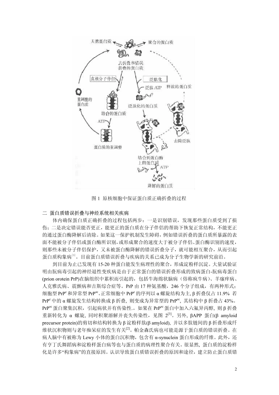 蛋白质错误折叠_第2页