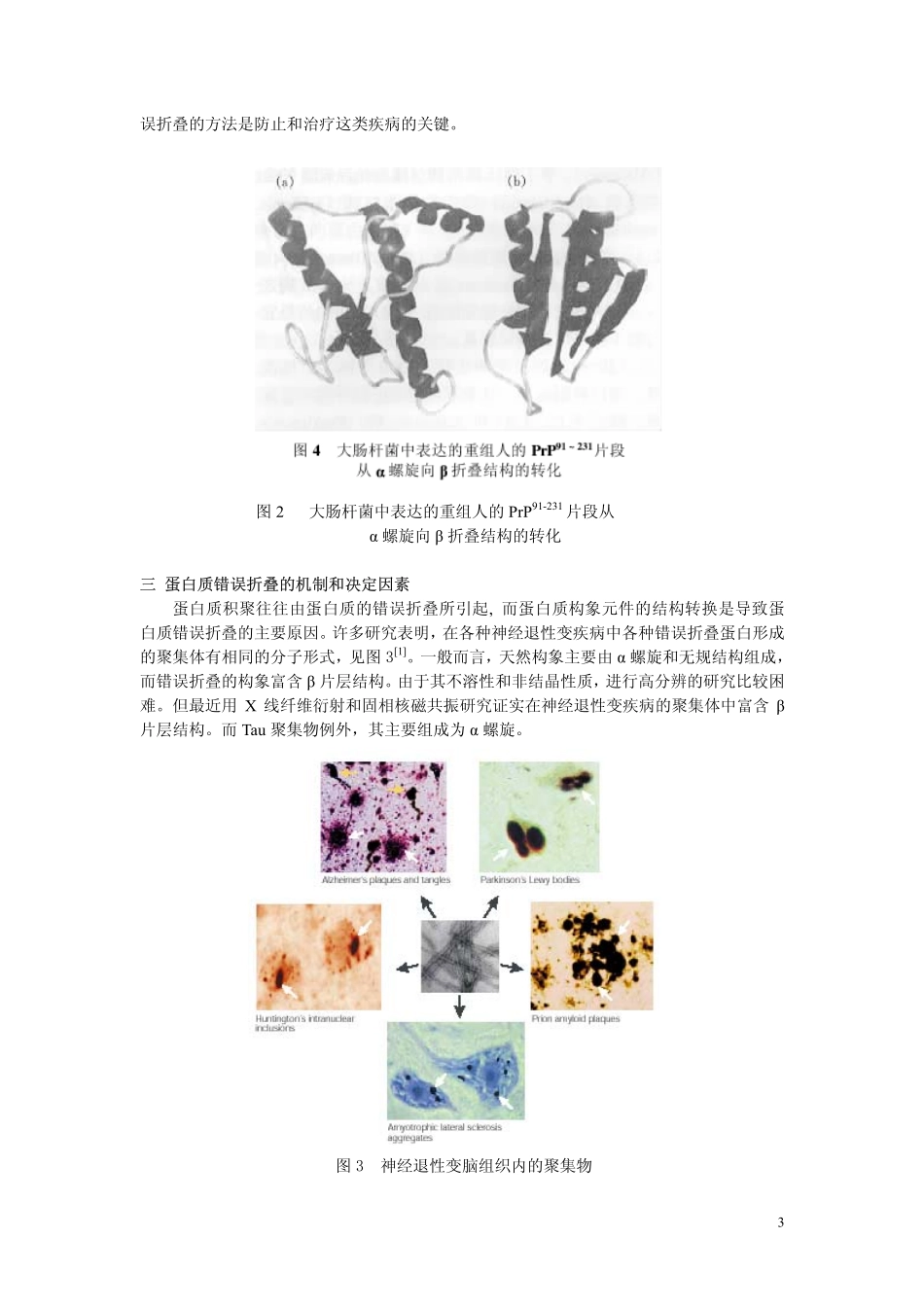 蛋白质错误折叠_第3页