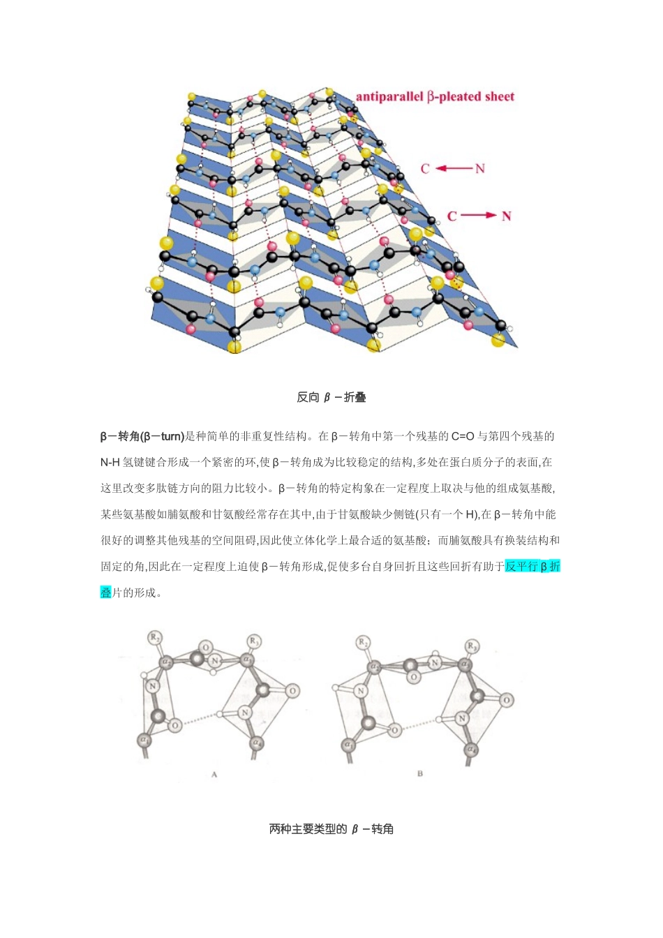 蛋白质的二级结构 示意图_第3页