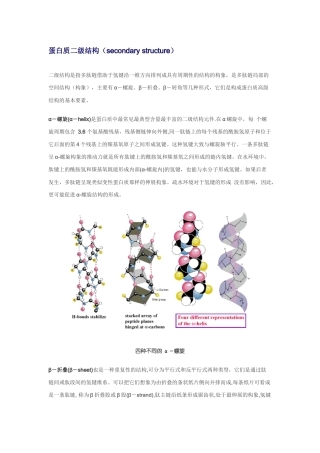 蛋白质的二级结构 示意图