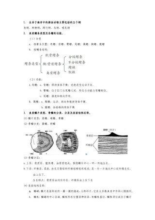 ouc fish复习题