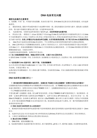 DNA电泳常见问题分析