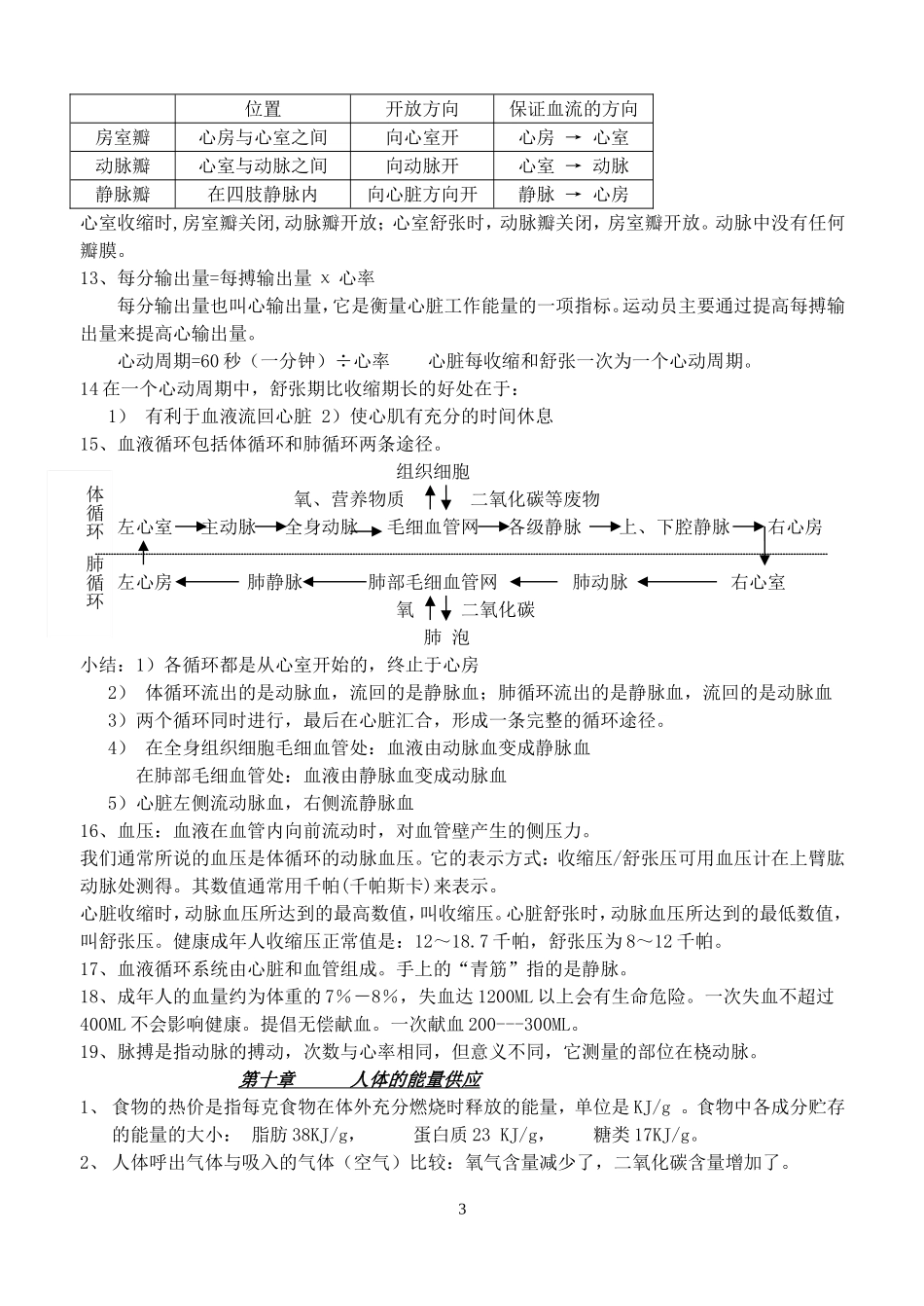 北师大版生物七年级下册复习提纲1_第3页