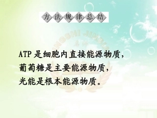 必修1 第5章第3节ATP的主要来源 细胞呼吸