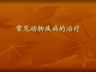 常见动物疾病的治疗