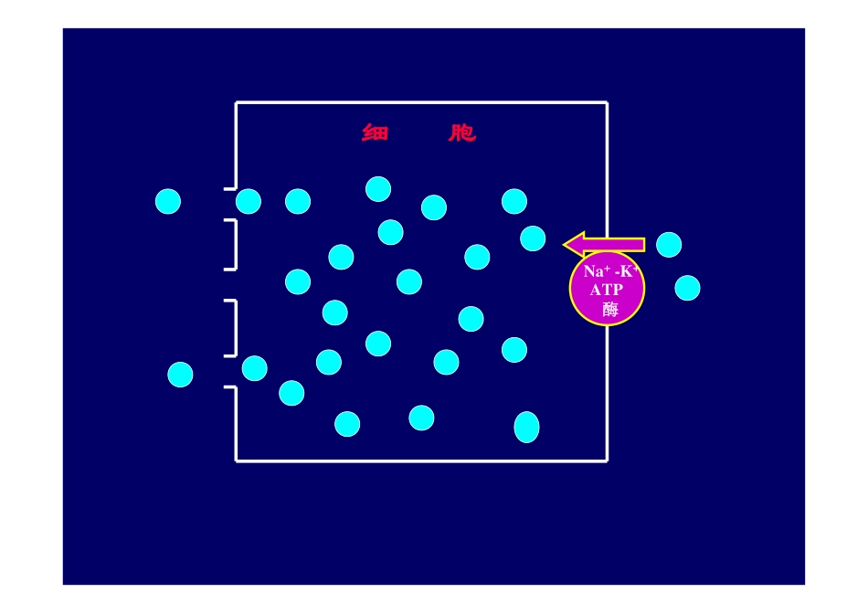 病理生理学 第三章水电解质代谢紊乱钾代谢紊乱_第3页