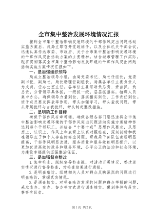 全市集中整治发展环境情况汇报