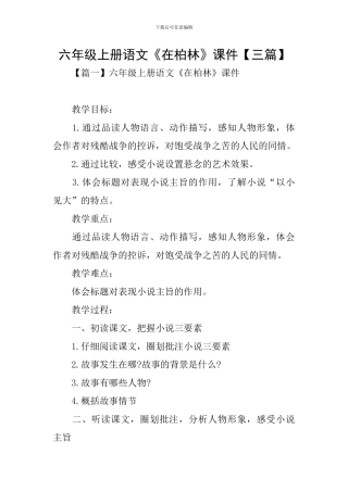 六年级上册语文《在柏林》课件