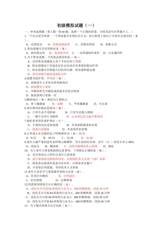 初级模拟试题(一)