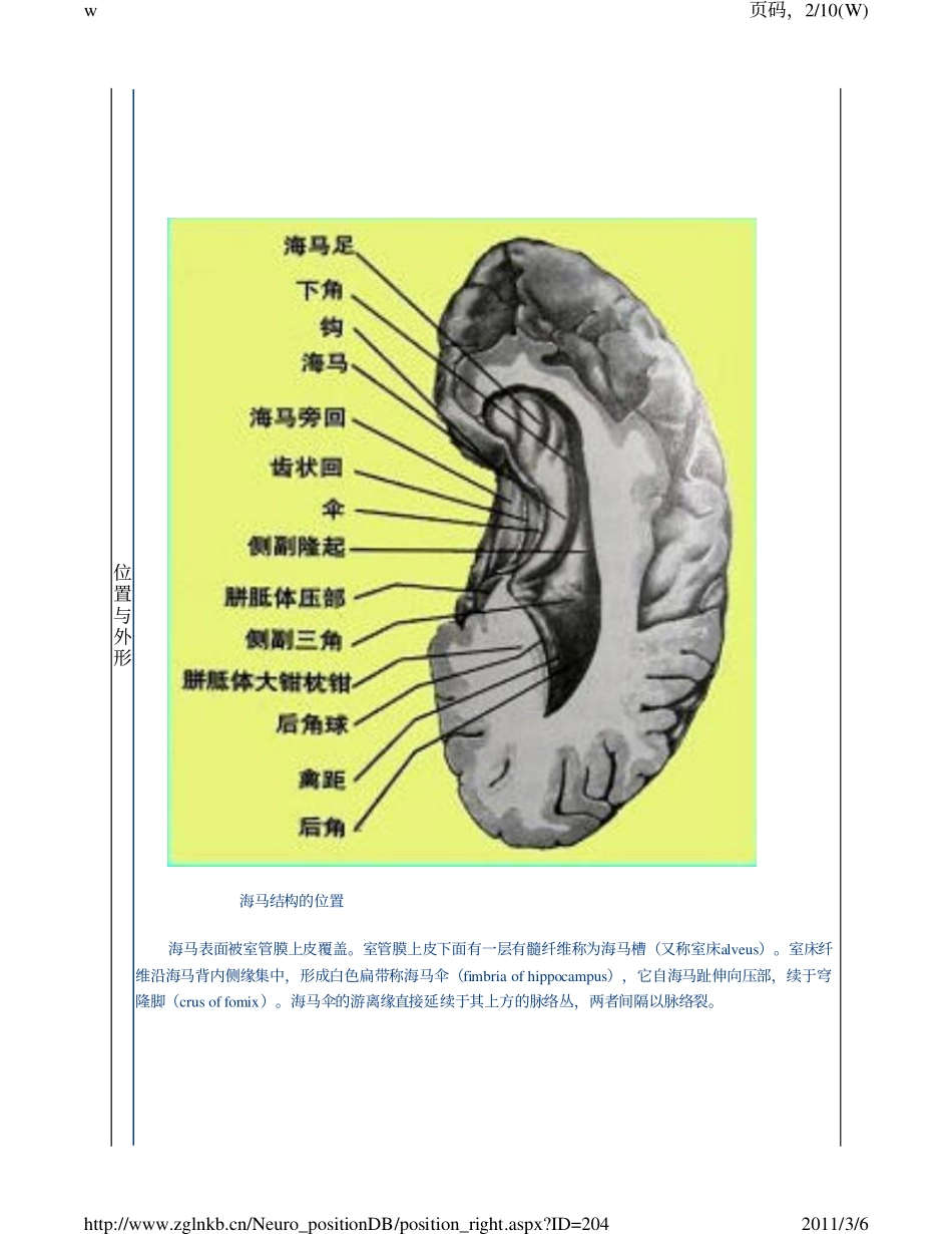 hippocampal formation_第2页