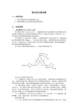 蛋白质含量测量