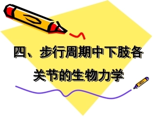 步行周期中下肢各关节的生物力学