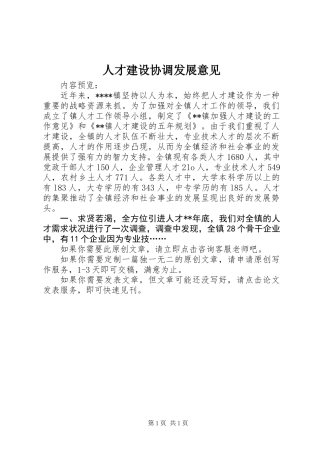 人才建设协调发展意见