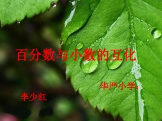 百分数小数互化
