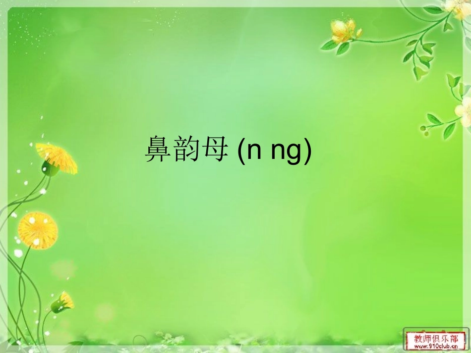 鼻韵母(n ng)_第1页