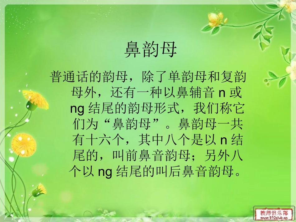 鼻韵母(n ng)_第2页