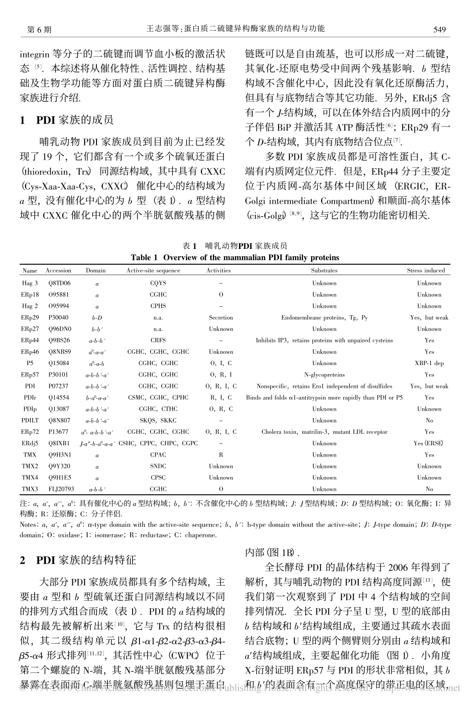 蛋白质二硫键异构酶家族的结构与功能_第2页