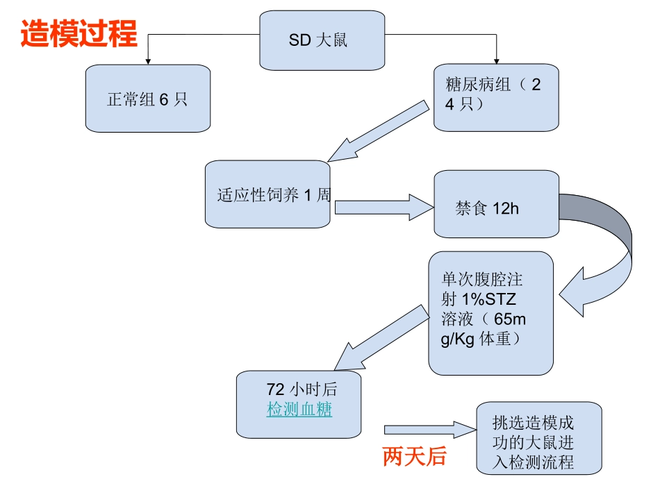 大鼠血糖实验汇总_第3页