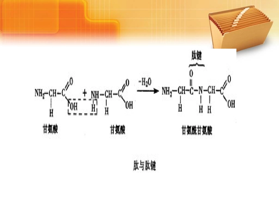 蛋白质四级结构_第3页