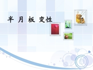 半月板变性1