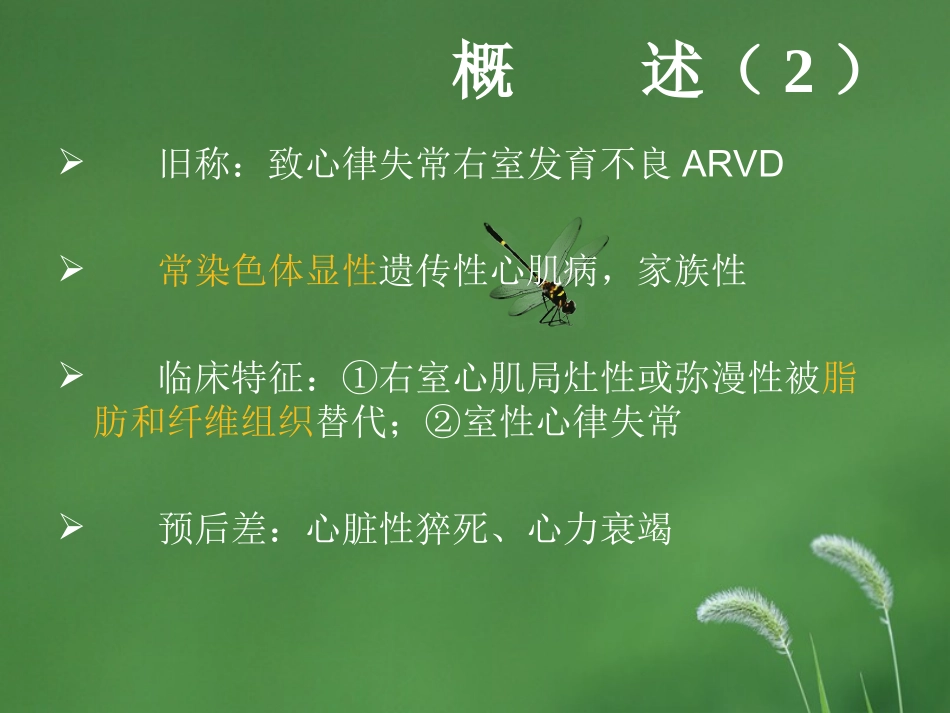 ARVC2009_第3页
