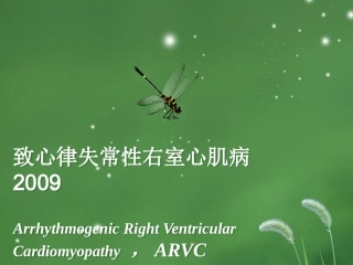 ARVC2009