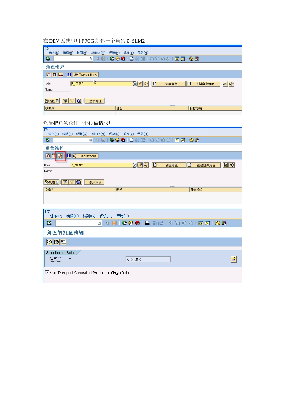 SAP传输删除角色重要_第1页