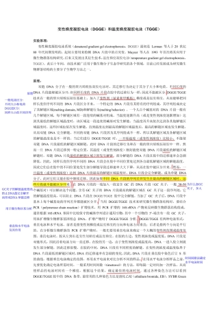 变性梯度凝胶电泳(DGGE)和温度梯度凝胶电泳(TGGE)
