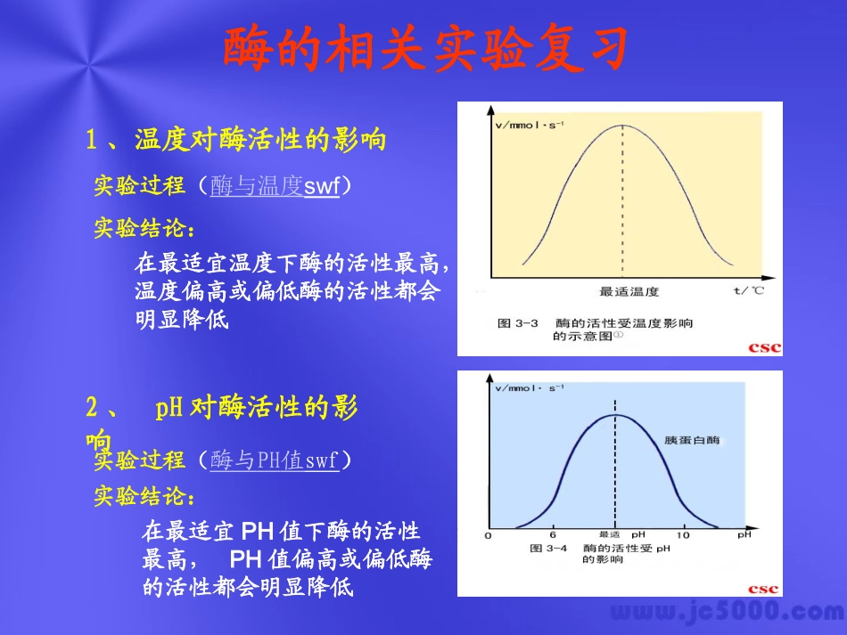 [实验五]探索淀粉酶对淀粉和蔗糖水解的作用_第3页
