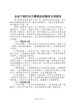 企业干部作风大整顿活动情况专项报告