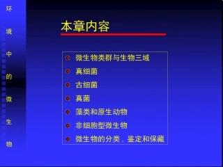 第2章-环境中的微生物