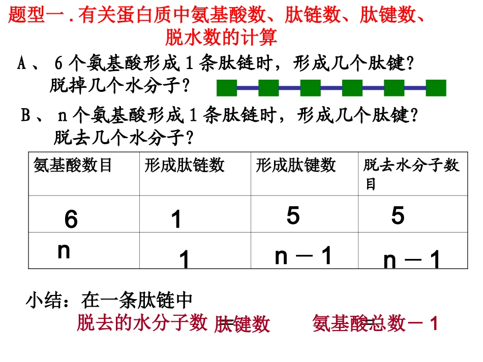 蛋白质计算题_第1页