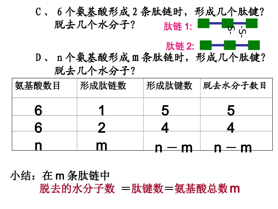 蛋白质计算题_第2页