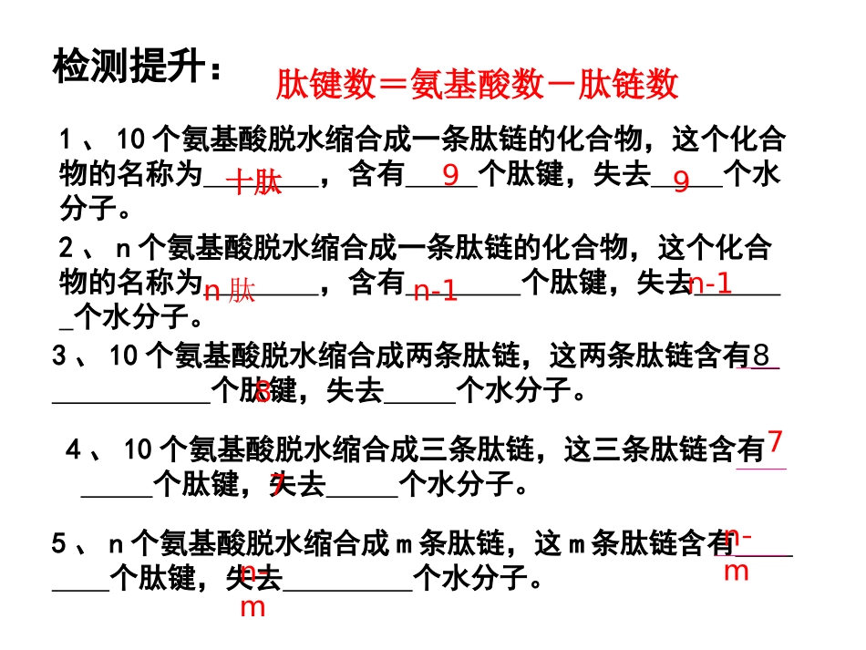 蛋白质计算题_第3页