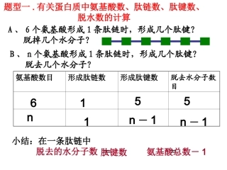 蛋白质计算题