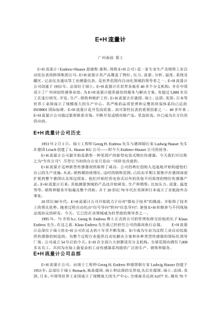 E+H流量计