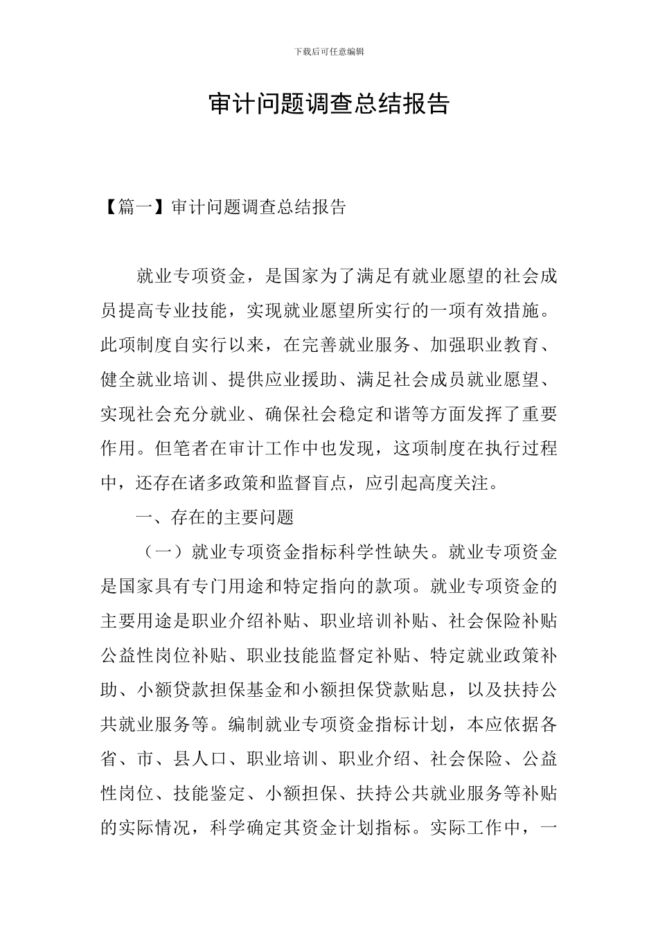 审计问题调查总结报告_第1页