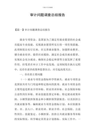 审计问题调查总结报告