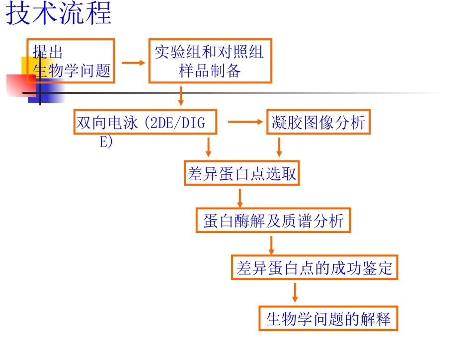 蛋白质的双向电泳_第3页