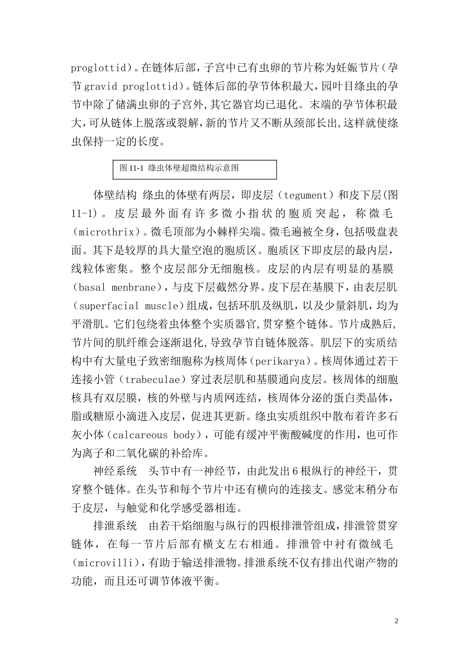 第 十一 章  绦 虫_第2页