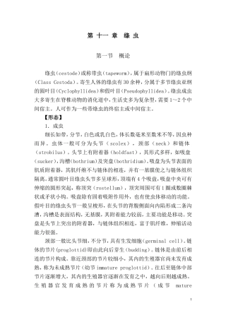 第 十一 章  绦 虫