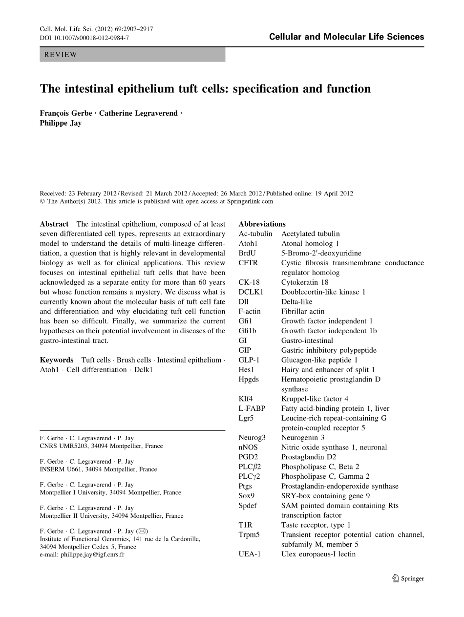 肠上皮细胞功能_第1页