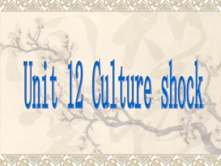 北师大版 高考第一轮复习12unit12 Culture shock